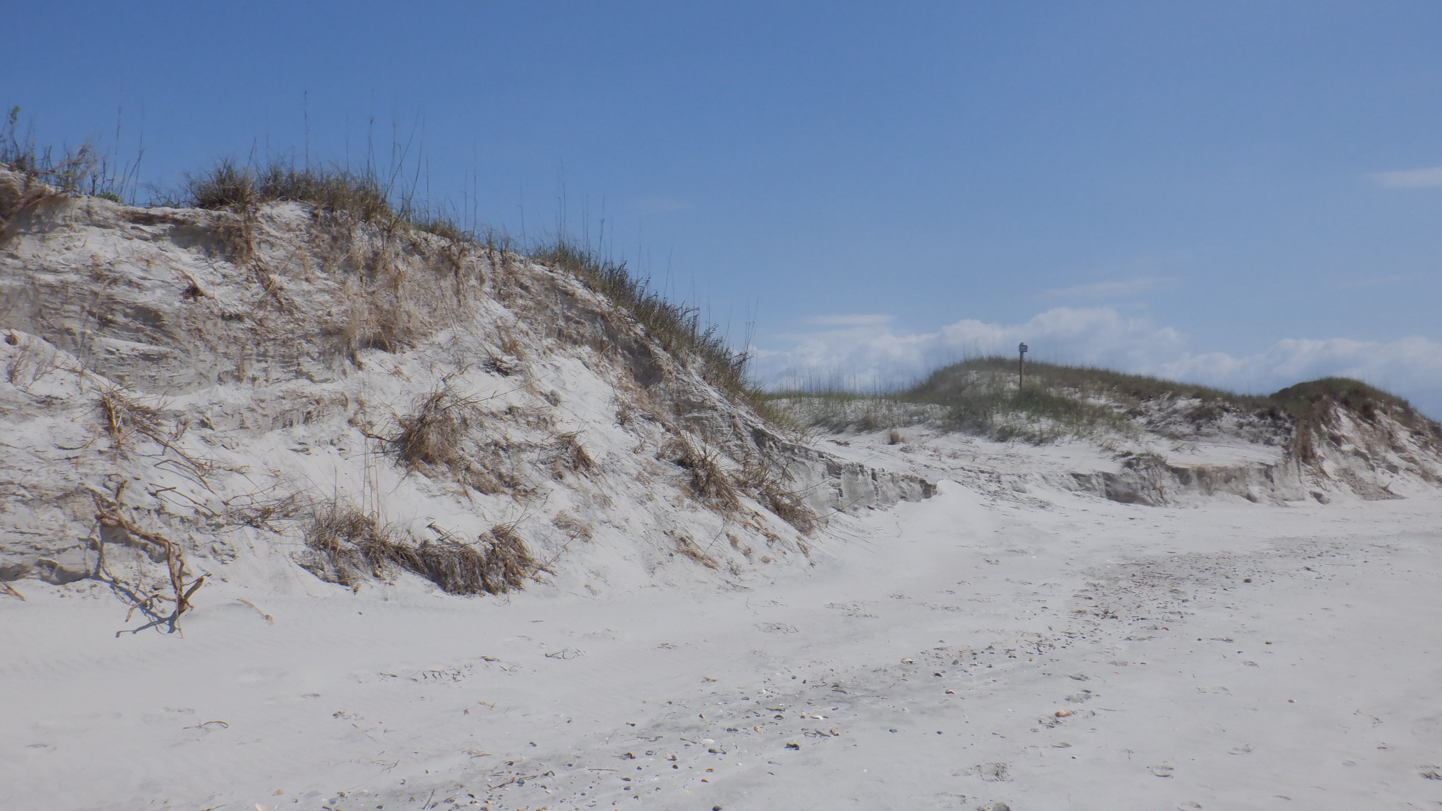 ./2024/05 - Bear Island/BLLD1964.JPG